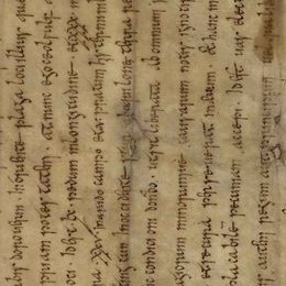 Charter fragment 3