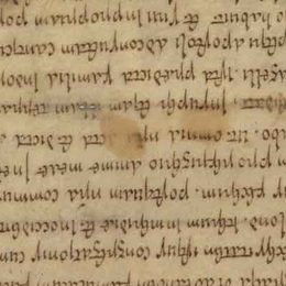 Charter fragment 1