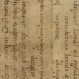 Charter fragment 2