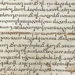 Charter fragment 2