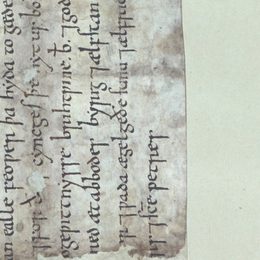 Charter fragment 3