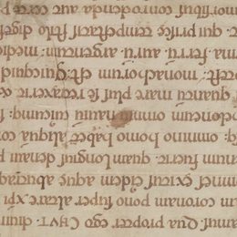 Charter fragment 4