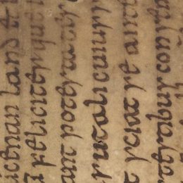 Charter fragment 1