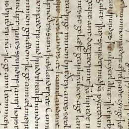 Charter fragment 3