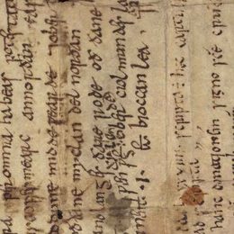 Charter fragment 4