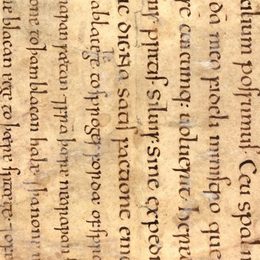 Charter fragment 4
