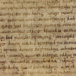 Charter fragment 3