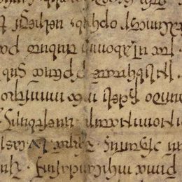 Charter fragment 2