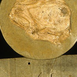 Charter fragment 2