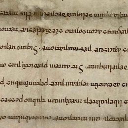 Charter fragment 3