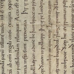 Charter fragment 3
