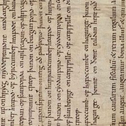 Charter fragment 2