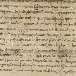 Charter fragment 2