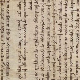 Charter fragment 3