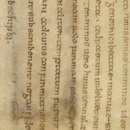 Charter fragment 2