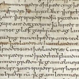 Charter fragment 4