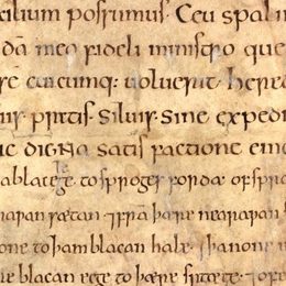 Charter fragment 3