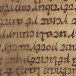 Charter fragment 2