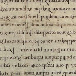 Charter fragment 2