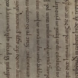 Charter fragment 3