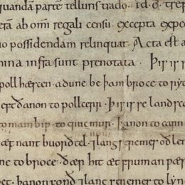 Charter fragment 4