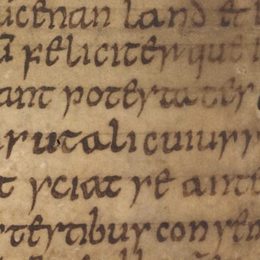 Charter fragment 3