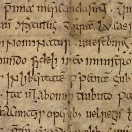 Charter fragment 3