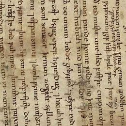 Charter fragment 3