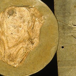 Charter fragment 4