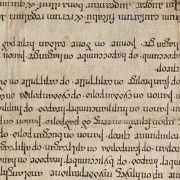 Charter fragment 4