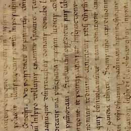 Charter fragment 1