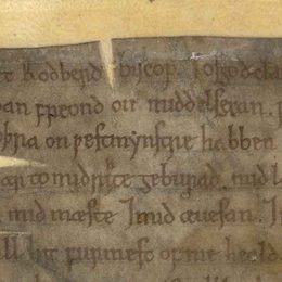Charter fragment 4