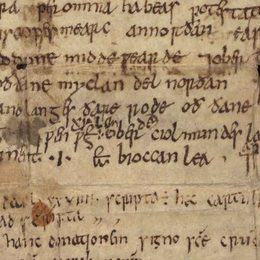Charter fragment 3