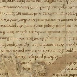 Charter fragment 2