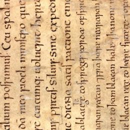 Charter fragment 2