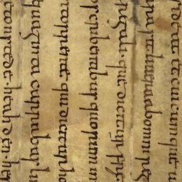 Charter fragment 2