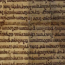 Charter fragment 1