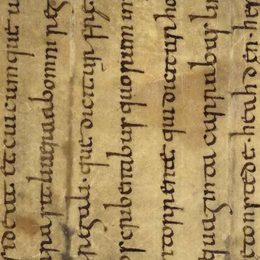 Charter fragment 1