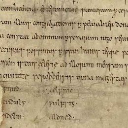 Charter fragment 4